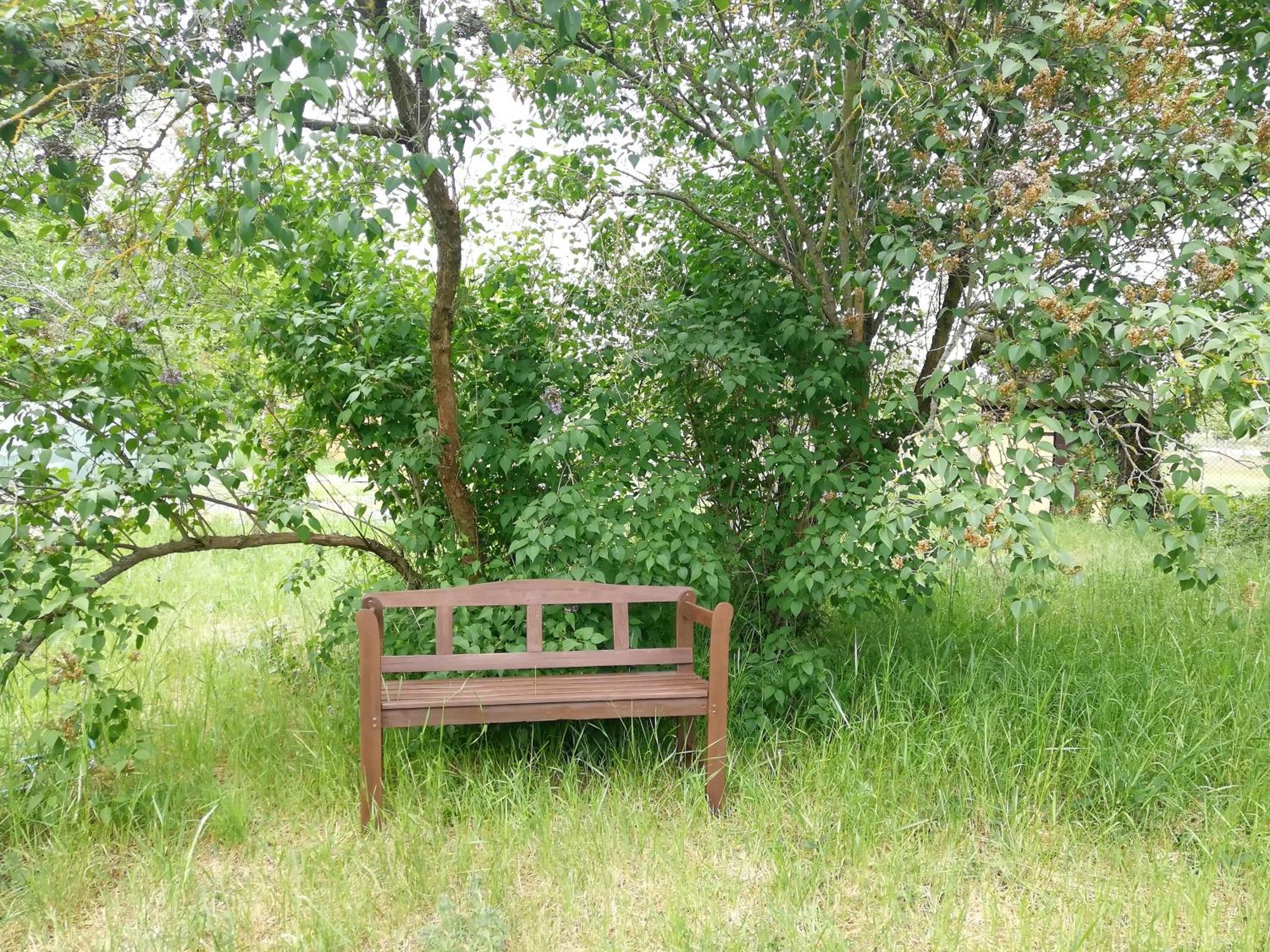 Ehemalige Bibliothek Apartment Fuer 2 Mit Kueche Kamin Netflix Parken Und Hofladen Steinhofel Exterior foto